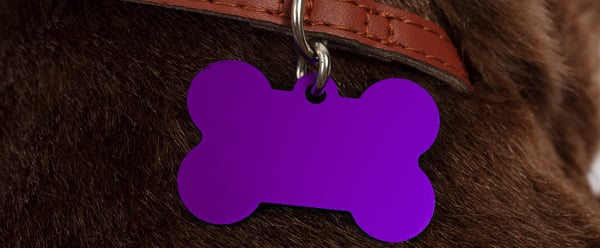 1-May-07-2024-01-30-21-0994-AM