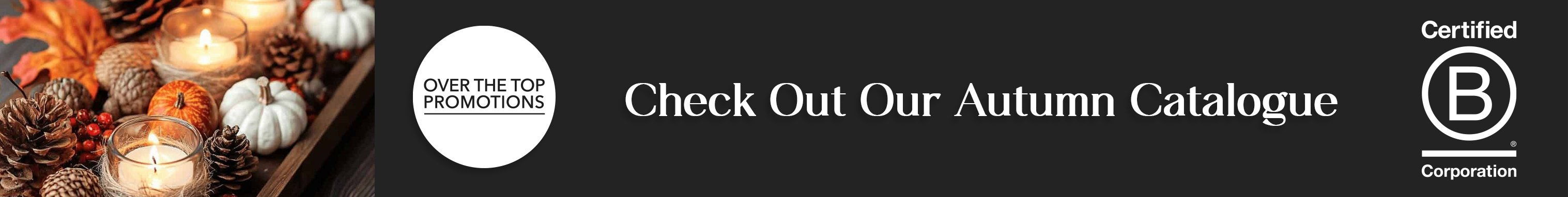 2026 autumn catalogue v5 copy