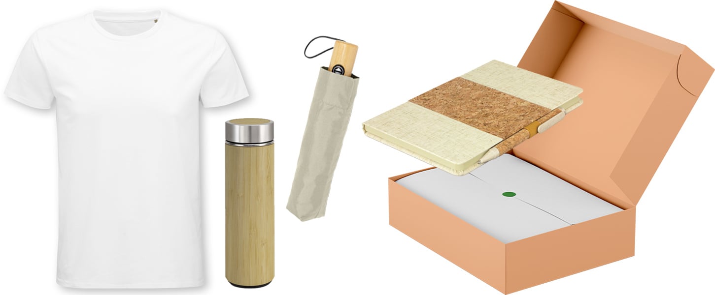 3-Sep-12-2024-03-54-22-9065-AM