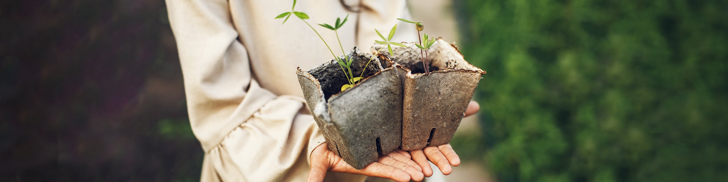 4-Apr-26-2023-05-50-56-2533-AM