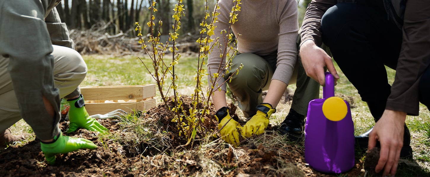 5-Oct-24-2024-06-00-46-2348-AM