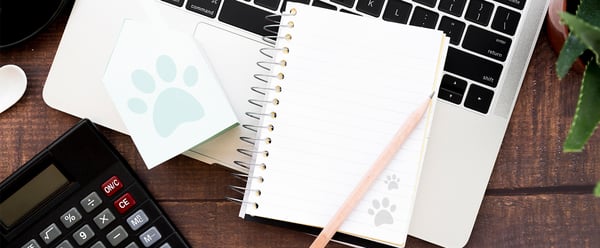 9-May-07-2024-01-58-26-4075-AM