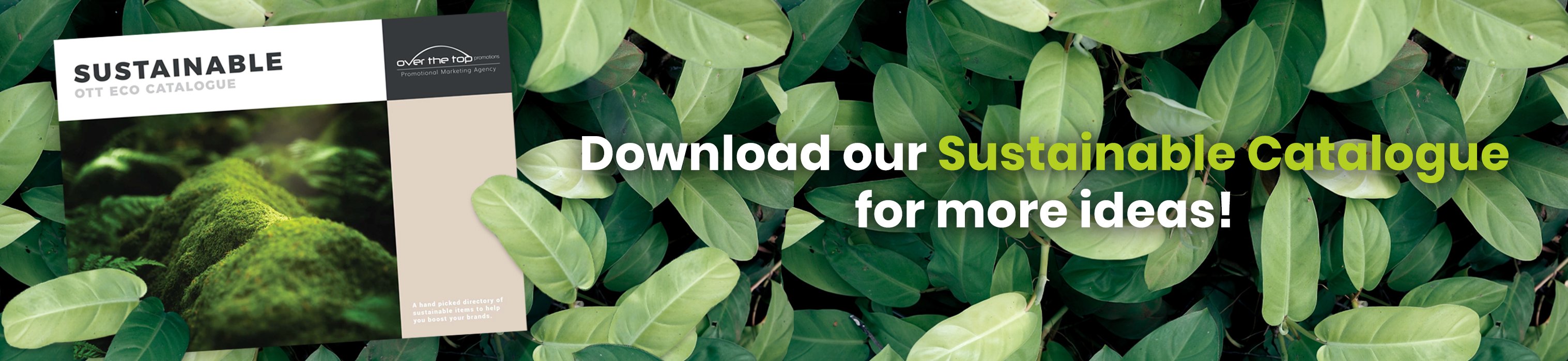 banner for download our eco catalogue