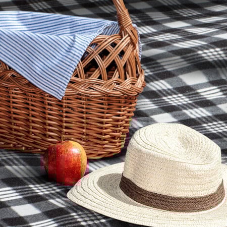 picnic blanket 2