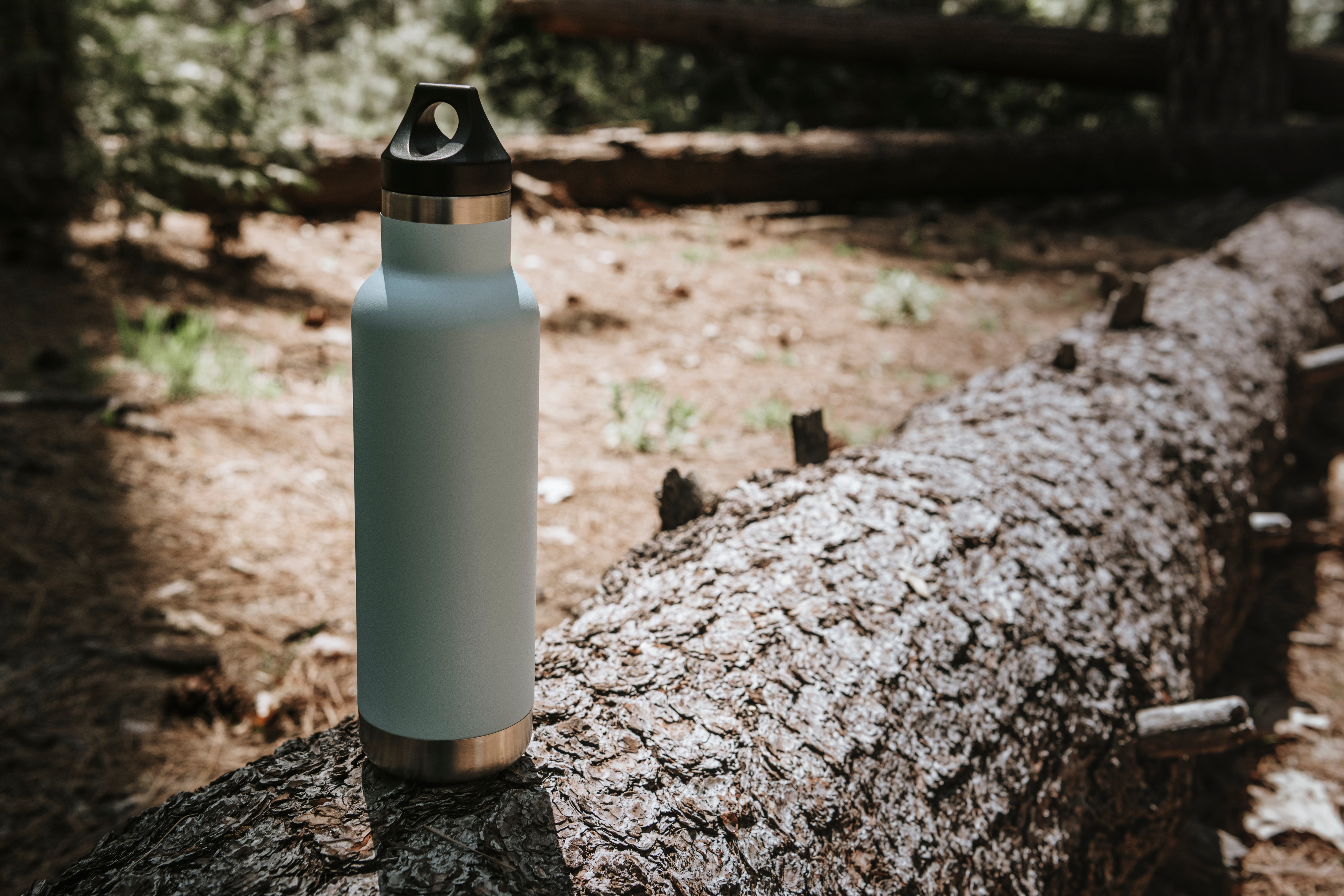 water-bottle-trunk-forest